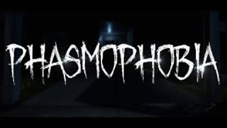 🔴【Phasmophobia】マイクラ版で遊ぶ！【ほしみん配信】