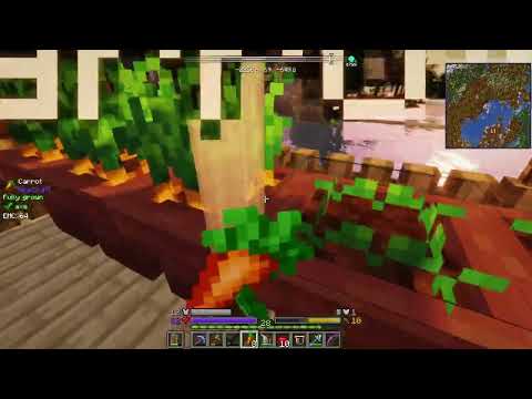 Minecraft - Decursio Project Modpack - Ep.23: Bees!