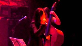 Elysian Fields - Sweet Condenser - Live in Paris (2)