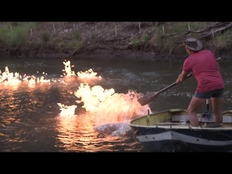 download lagu mp3 mp4 Die Grnen Jobs, download lagu Die Grnen Jobs gratis, unduh video klip Die Grnen Jobs