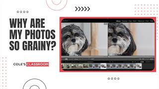 Why are my photos so grainy?