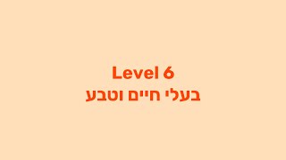 שלב 6 - בעלי חיים וטבע