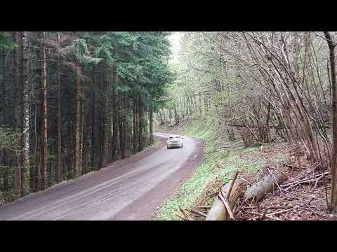 WRC CROATIA 2022 SS6 LAZAR MILOVANOVIC GORAN RABASOVIC