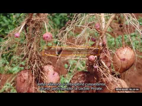 2018 03 07 PM Public Teaching in Romanian - Cursuri publice în română