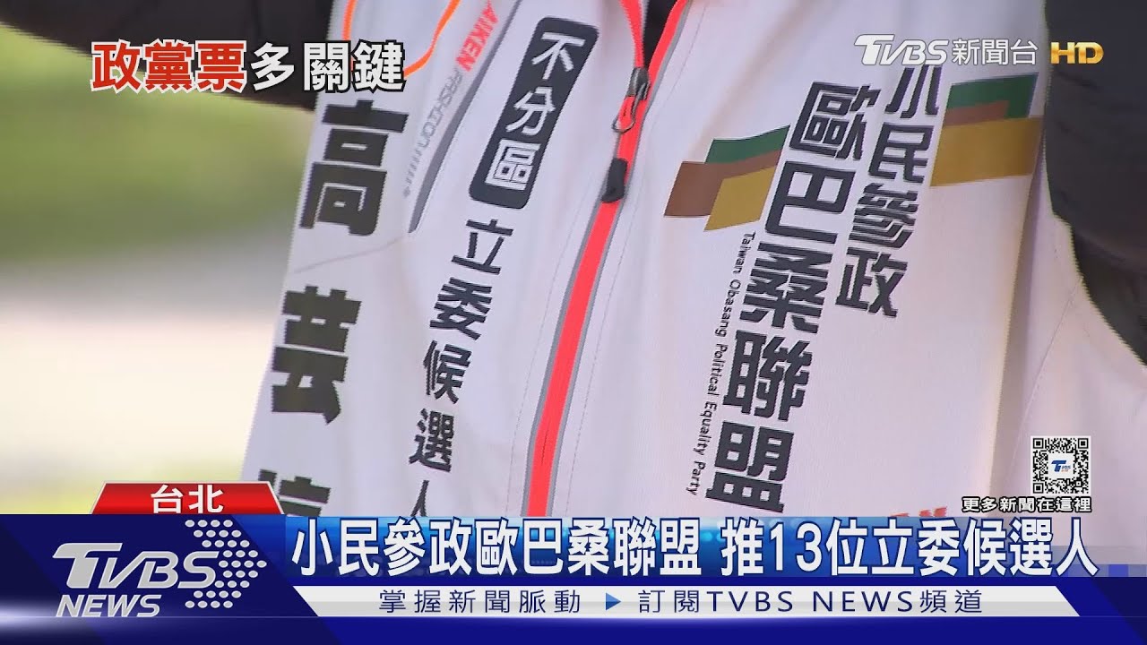 小黨關鍵4數字攸關生存挑戰!「歐巴桑聯盟」也搶政黨票