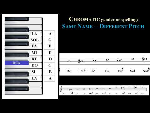 An Introduction to Music Notation: Diatonic, Chromatic, and Enharmonic Genders (Spellings)
