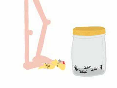 lazy ants by uncookedland