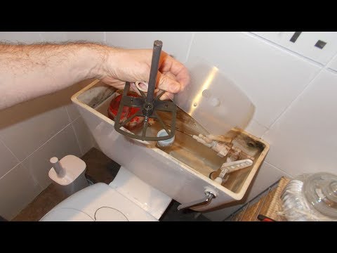 How to replace the diaphragm on a toilet