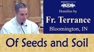 Parable of the Sower - Jan 27 - Homily - Fr Terrance
