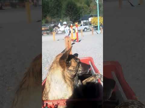 San martin de los andes ,neuquen
