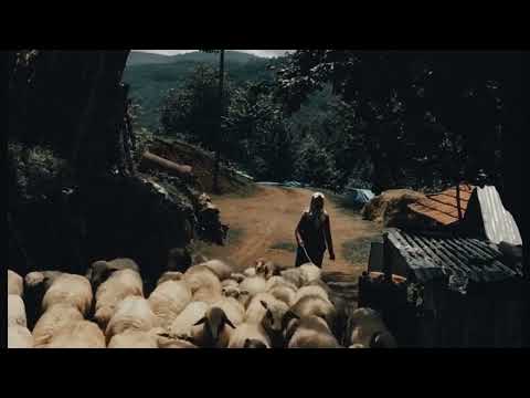 Syrin moj Mano Manushe- Kendoi Mari- AI Mastered