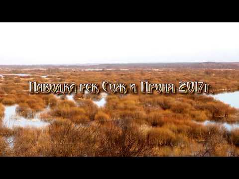 Паводки рек Сож и Проня 2017г.