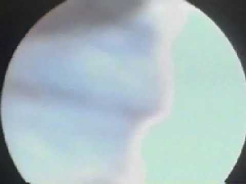 Carlo Bulletti-4