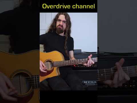 Why we don't plug acoustic guitars in electric guitar amps