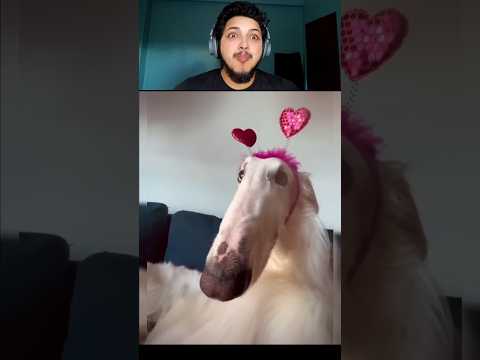 Try not to laugh challenge 567😜 #shorts #funny #trending