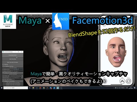 Facemotion3d image