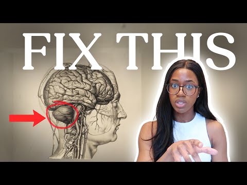 Regulate your nervous system: a step-by-step guide (2025)