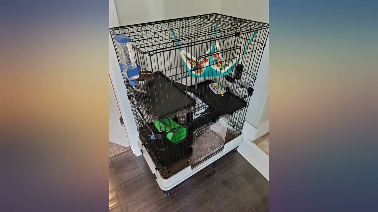 PawHut 32/u201DL 4-Level Indoor Small Animal Rabbit Cage with Wheels review