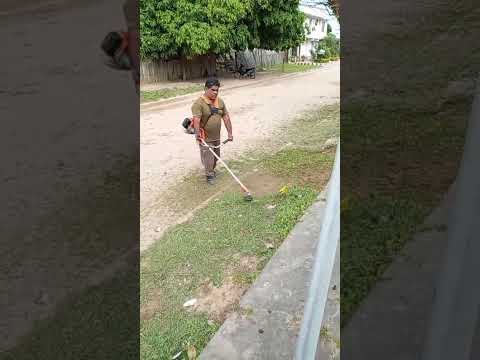 Gente de General Enrique Mosconi Salta corta pasto