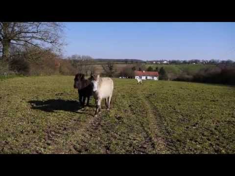 Comment investir dans une ferme ? La réponse est sur Admicile.fr