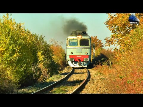 🚂Trenuri Vitezomane în Biharia 🚂 Speedy Trains in Biharia 🚂 - 28 October 2021
