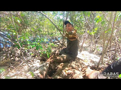 EP659-P1 - Kuray Catch and Cook | Occ. Mindoro