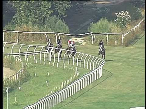 Galoppo 02/08/2017 - 1ª corsa