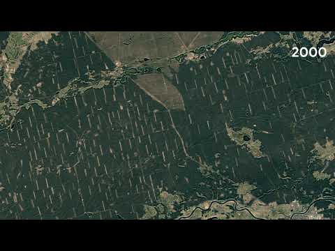 Gmina Wronki, Poland