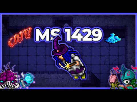 MS 1429 Hunt Solo Energy Library 9kk/h (100%) + 2kk/h Profit - Tibia Hunt #tibia #tibiahunt #hunts