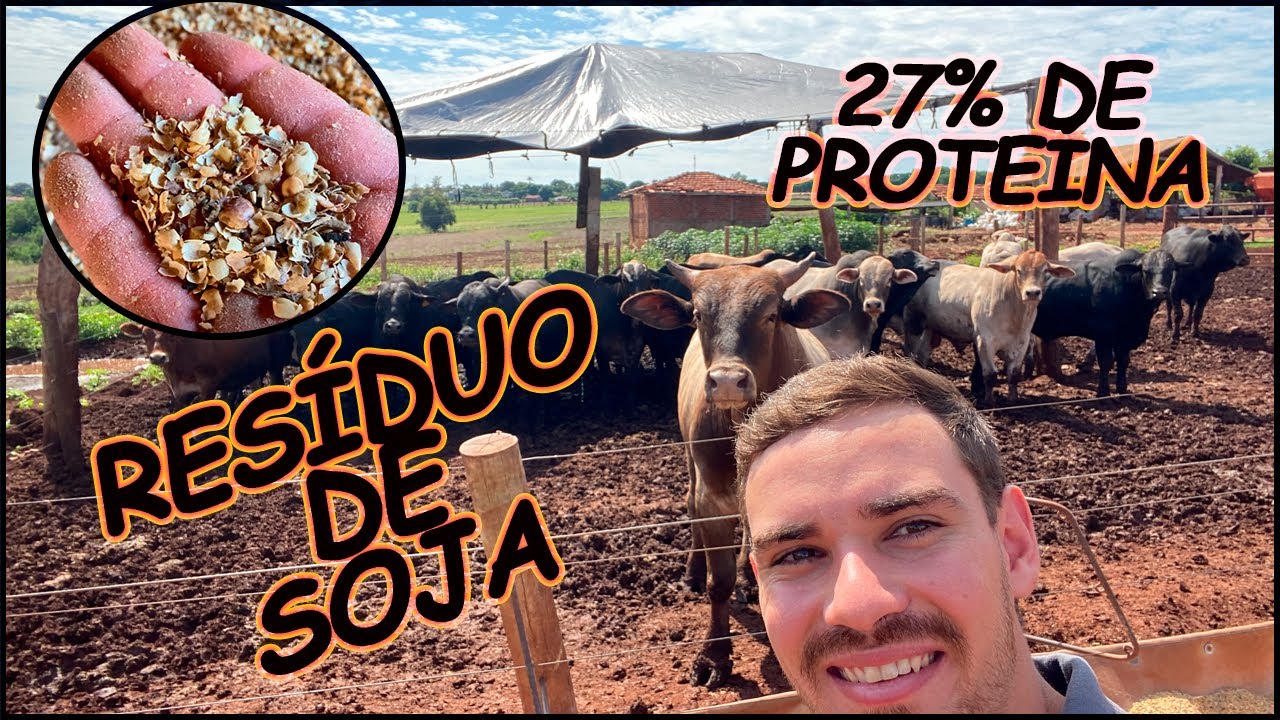 COMPRAMOS RESÍDUO DE SOJA