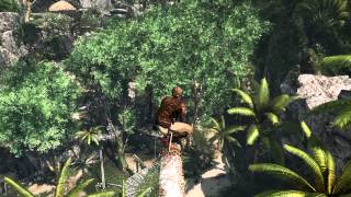 Assassin's Creed: Black Flag - GTX 570 |Full HD|