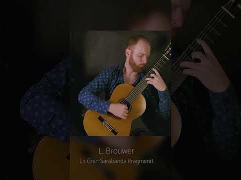 L. Brouwer - La Gran Sarabanda (fragment) #shorts #shorts #guitarshorts #catslover #catslovers