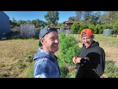 BATTLE OF THE TREES EP 4 (WORLDS BIGGEST PLANT CONTEST)