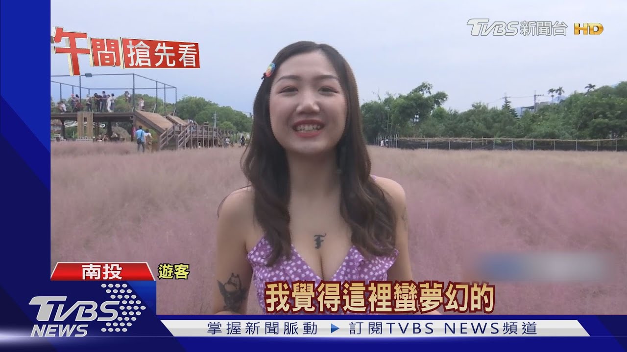 粉紅泡泡!粉黛亂子草 韓風夢幻像極愛情