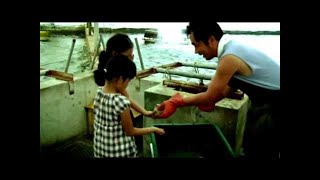 The Mystery of Eels Nature Documentary HD - National Geo HD 2020