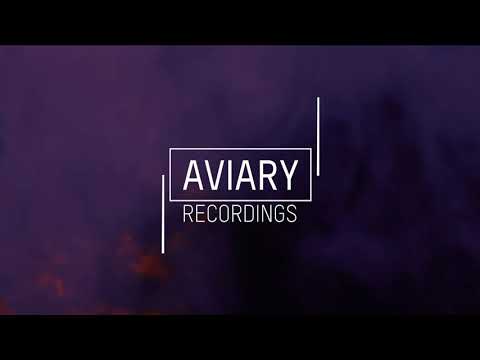 Aves Volare & Doshpot - Synchronicity (Heerhorst Remix)