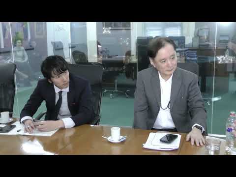 Japón explora oportunidades de inversión minera en Salta