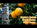 How Florida S Natural Juice Is Made Grove House Visitor Center Tour