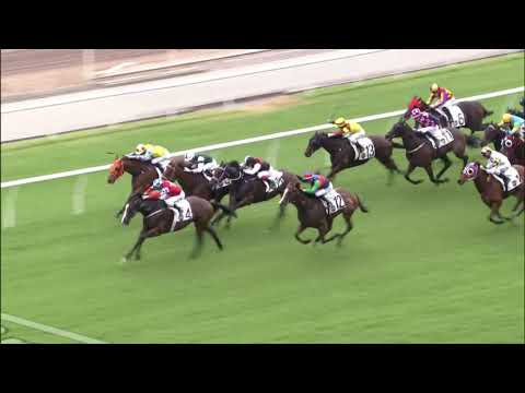 21/11/2021 (188) Good Buddy - Z Purton