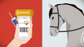 Videos zu Breeders App