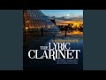 Lunar Lace (arr. F.G. Errante for clarinet and piano)
