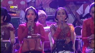Download lagu Palapa versi Putri Wangi Entertainment mp3