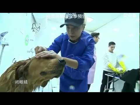 GO FIGHTING SEASON 3 - Preview clip [ENG SUB]