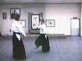 Steven Seagal Master Of The Aikido