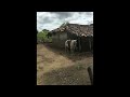 Los Ninos de Sara - El Nino Del Viento