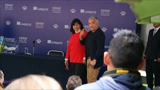 CESAR MILLAN - Pasear al perro - ¿Tu perro te saca a pasear - ENCANTADOR DE PÊRROS