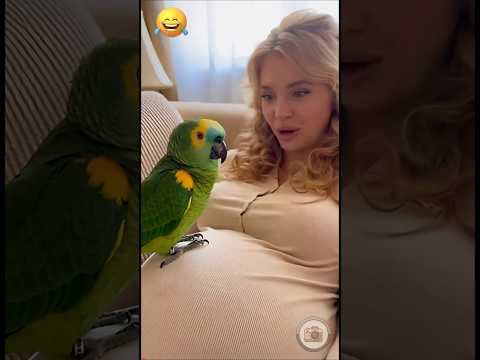 Беременной нельзя глотать семечки 😂🦜