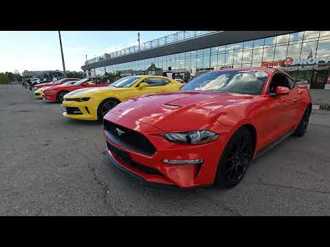 SHXPE X BLANKU  -  SERENITY | Demiroff 4k ultra hd music video