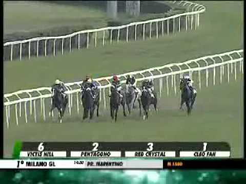 28/09/2013, Milano , Premio Marentino