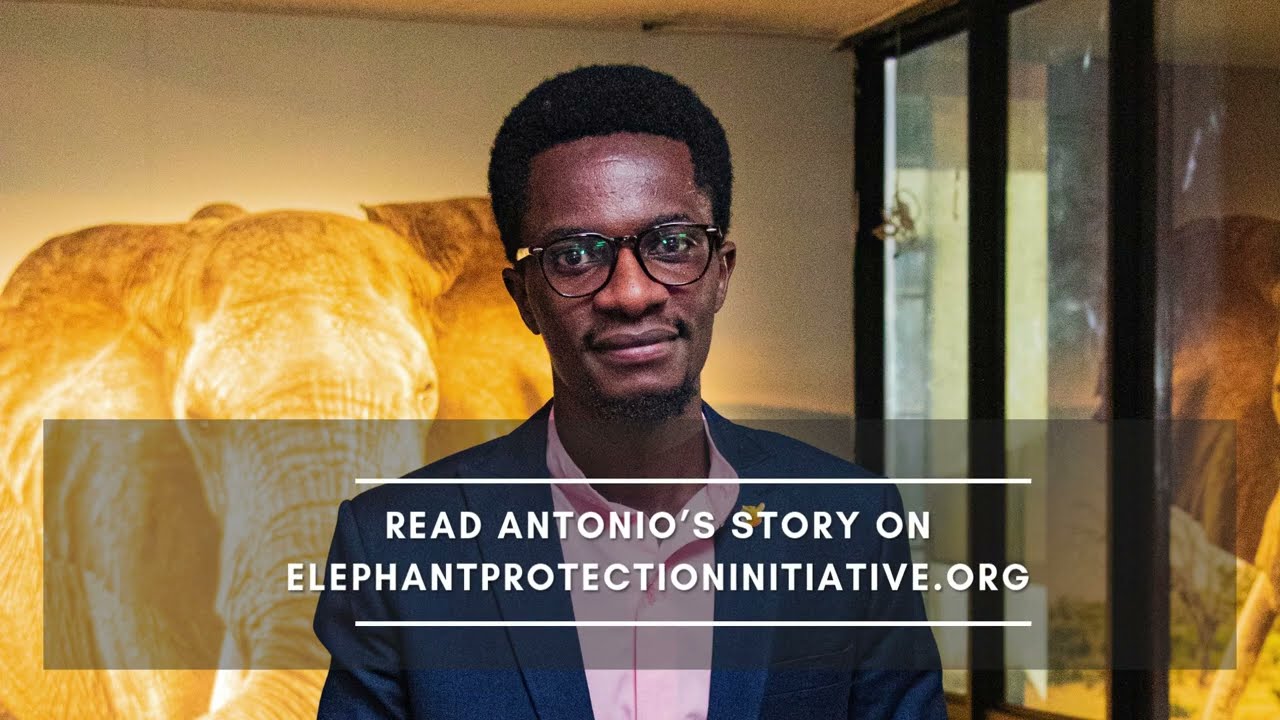 The Power of Storytelling in Conservation: Meet Antonio Longangi